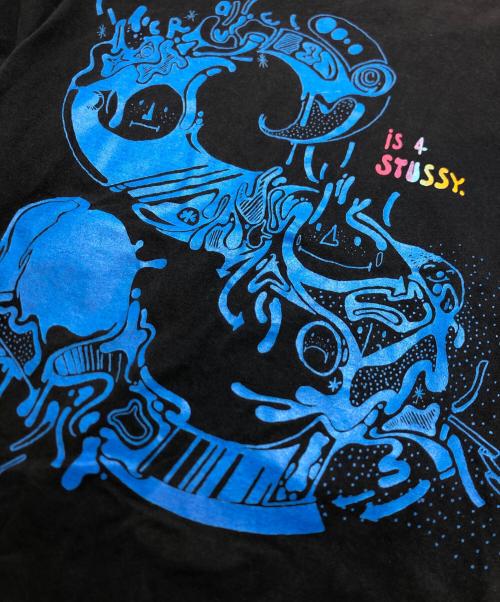 stussy（ステューシー）stussy (ステューシー) Tシャツ ホワイト サイズ:Mの古着・服飾アイテム