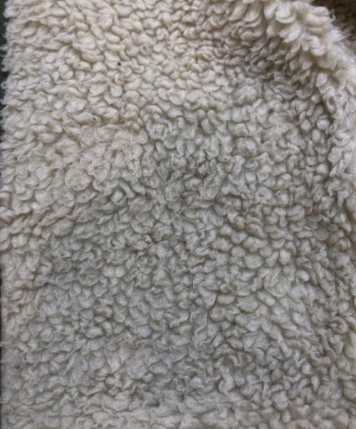 Patagonia（パタゴニア）Patagonia (パタゴニア) ボーイズインファーノジャケット カーキ サイズ:BOY'S Lの古着・服飾アイテム