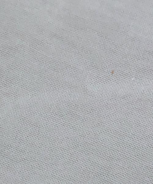 INDIA INDUSTRY（インディアインダストーリー）INDIA INDUSTRY (インディアインダストーリー) エンブロイダリーシャツワンピース アイボリー サイズ:1の古着・服飾アイテム