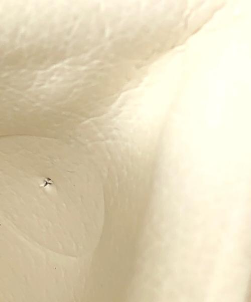 Onitsuka Tiger（オニツカタイガー）Onitsuka Tiger (オニツカタイガー) スニーカー ベージュ サイズ:26.5CMの古着・服飾アイテム