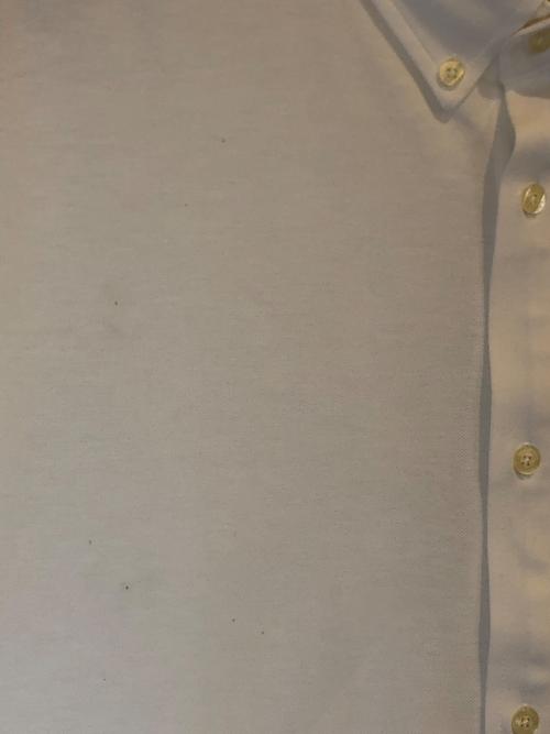 LACOSTE（ラコステ）LACOSTE (ラコステ) クールマックスブレンド鹿の子地半袖シャツ ホワイト サイズ:M~Lの古着・服飾アイテム