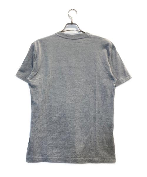 stussy（ステューシー）stussy (ステューシー) プリントTシャツ グレー サイズ:Mの古着・服飾アイテム