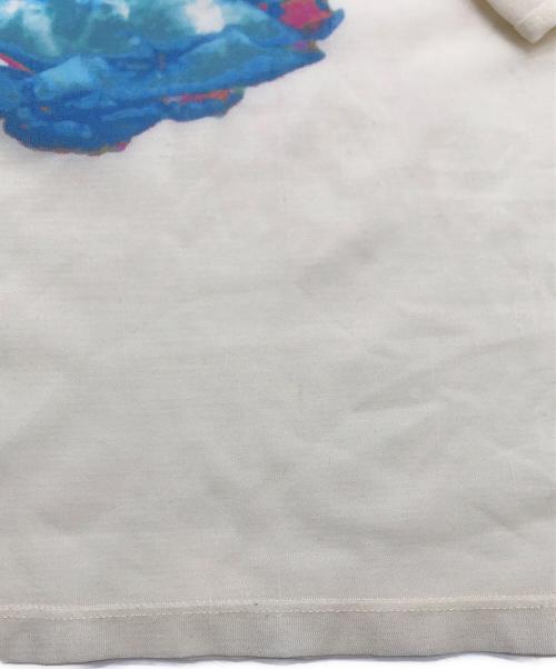 ISSEY MIYAKE（イッセイミヤケ）ISSEY MIYAKE (イッセイミヤケ) シアープリントカットソー アイボリー サイズ:3の古着・服飾アイテム