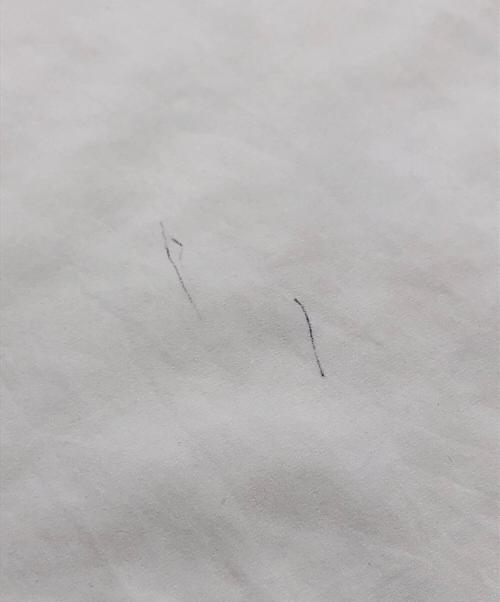 BEARDSLEY（ビアズリー）BEARDSLEY (ビアズリー) フリルカフス後ろドレープTブラウス ホワイト サイズ:Freeの古着・服飾アイテム