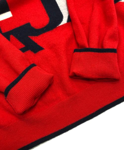 CASTELBAJAC（カステルバジャック）CASTELBAJAC (カステルバジャック) カシミヤニット レッド サイズ:50の古着・服飾アイテム