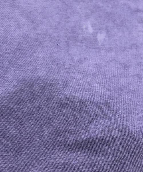 stussy（ステューシー）stussy (ステューシー) ロゴプリントTシャツ パープル サイズ:Lの古着・服飾アイテム