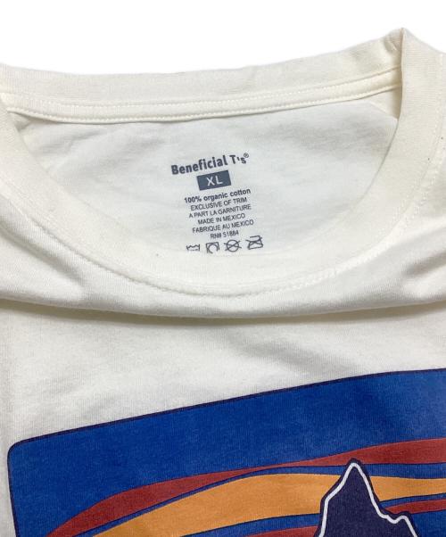 Patagonia（パタゴニア）Patagonia (パタゴニア) Tシャツ ホワイト サイズ:XLの古着・服飾アイテム