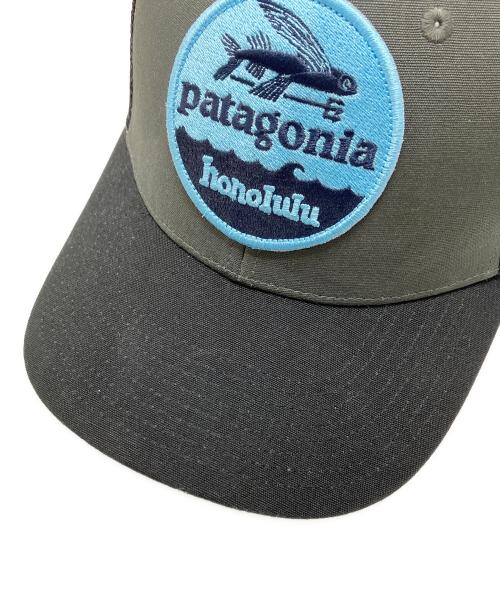 Patagonia（パタゴニア）Patagonia (パタゴニア) メッシュキャップ グレーの古着・服飾アイテム
