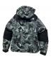 THE NORTH FACE (ザ ノース フェイス) NOVELTY BALTRO LIGHT JACKET グリーン サイズ:M：25000円