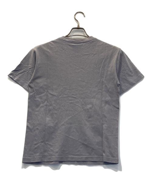 stussy（ステューシー）stussy (ステューシー) World Wide TEE グレー サイズ:Sの古着・服飾アイテム