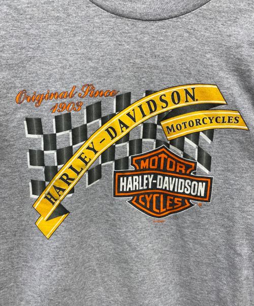 HARLEY-DAVIDSON（ハーレーダビッドソン）HARLEY-DAVIDSON (ハーレーダビッドソン) ロングスリーブカットソー グレー サイズ:Mの古着・服飾アイテム