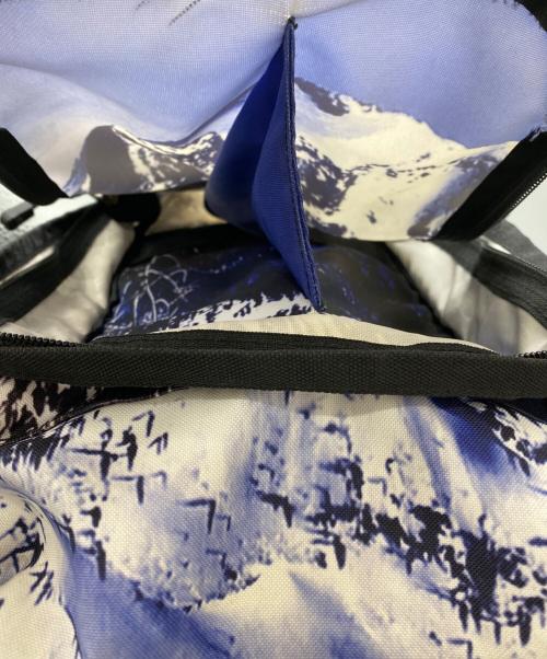 THE NORTH FACE（ザ ノース フェイス）THE NORTH FACE (ザ ノース フェイス) Supreme (シュプリーム) MOUNTAIN EXPEDITION BACKPACK ブルーの古着・服飾アイテム