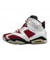 NIKE (ナイキ) Air Jordan 6 