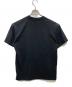 NIKE ACG (ナイキエージーシー) Nrg Lbr Lungs S/S Tshirt ブラック サイズ:S：4000円