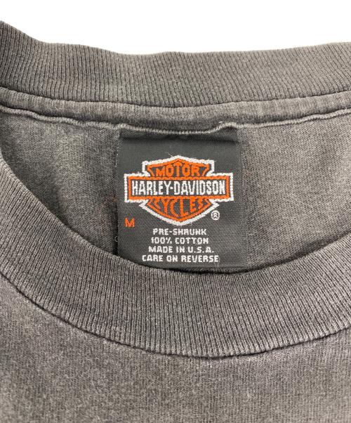 HARLEY-DAVIDSON（ハーレーダビッドソン）HARLEY-DAVIDSON (ハーレーダビッドソン) ヴィンテージTシャツ グレー サイズ:Mの古着・服飾アイテム