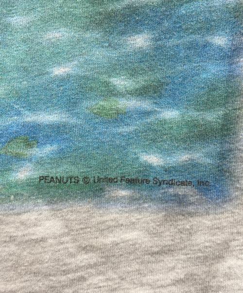 Hanes（ヘインズ）Hanes (ヘインズ) ヴィンテージTシャツ グレー サイズ:XLの古着・服飾アイテム