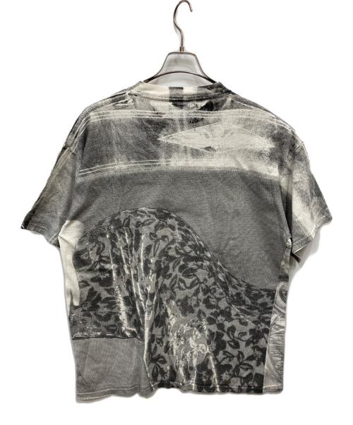 TULTEX（タルテックス）TULTEX (タルテックス) 全面プリントヴィンテージTシャツ グレー サイズ:ＸＬの古着・服飾アイテム