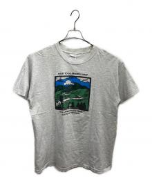 GILDAN（ギルダン）の古着「プリントTシャツ」｜グレー