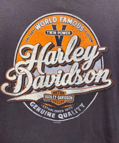 HARLEY-DAVIDSON（ハーレーダビッドソン）HARLEY-DAVIDSON (ハーレーダビッドソン) プリントTシャツ ブラック サイズ:Lの古着・服飾アイテム