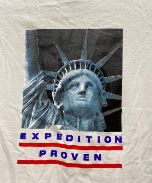 THE NORTH FACE（ザ ノース フェイス）THE NORTH FACE (ザ ノース フェイス) Supreme (シュプリーム) 19AW STATUE OF LIBERTY TEE ホワイト サイズ:Sの古着・服飾アイテム