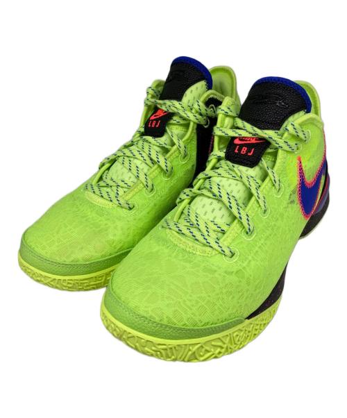 NIKE（ナイキ）NIKE (ナイキ) Zoom LeBron NXXT Gen グリーン サイズ:27.5㎝の古着・服飾アイテム