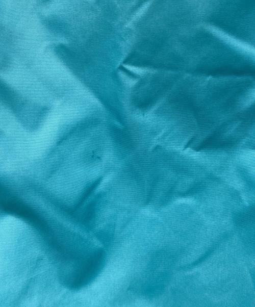 Carhartt WIP（カーハート ワークインプログレス）Carhartt WIP (カーハート ワークインプログレス) スポーツコーチジャケット グリーン サイズ:Mの古着・服飾アイテム