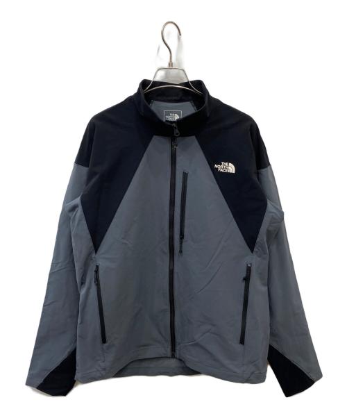 THE NORTH FACE（ザ ノース フェイス）THE NORTH FACE (ザ ノース フェイス) SWALLOWTAIL HOODIE グレー サイズ:Lの古着・服飾アイテム