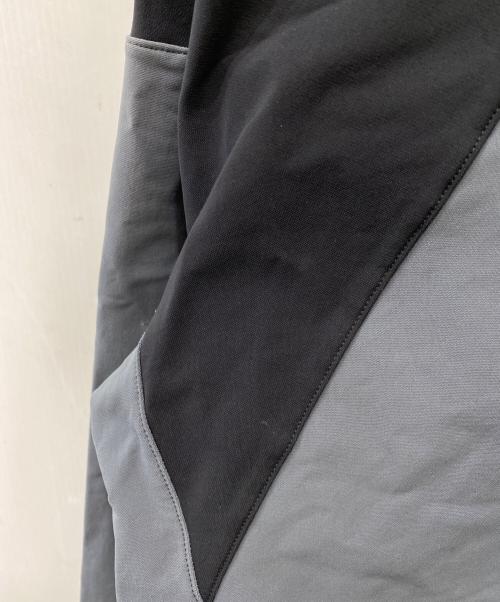 THE NORTH FACE（ザ ノース フェイス）THE NORTH FACE (ザ ノース フェイス) SWALLOWTAIL HOODIE グレー サイズ:Lの古着・服飾アイテム