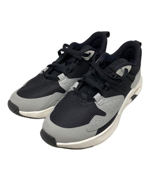 NIKE（ナイキ）NIKE (ナイキ) ローカットスニーカー グレー サイズ:28の古着・服飾アイテム