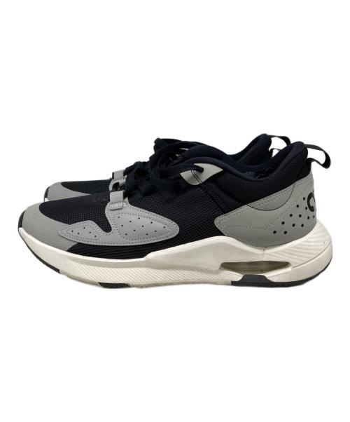 NIKE（ナイキ）NIKE (ナイキ) ローカットスニーカー グレー サイズ:28の古着・服飾アイテム