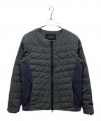nano・universeナノ・ユニバース）の古着「別注 ノーカラーダウンジャケット」｜グレー