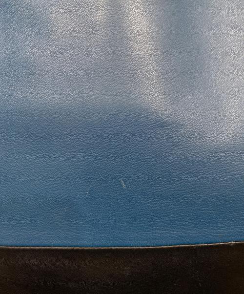 CELINE（セリーヌ）CELINE (セリーヌ) バイカラーホリゾンタルカバトートバッグ ブラック×ブルーの古着・服飾アイテム