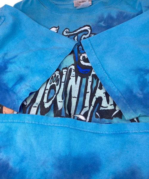 Walt Disney World（ウォルトディズニーワールド）WALT Disney World (ウォルトディズニーワールド) プリントTシャツ ブルー サイズ:Mの古着・服飾アイテム