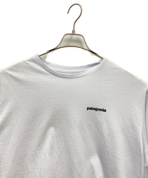Patagonia（パタゴニア）Patagonia (パタゴニア) ロングスリーブカットソー グレー サイズ:Lの古着・服飾アイテム