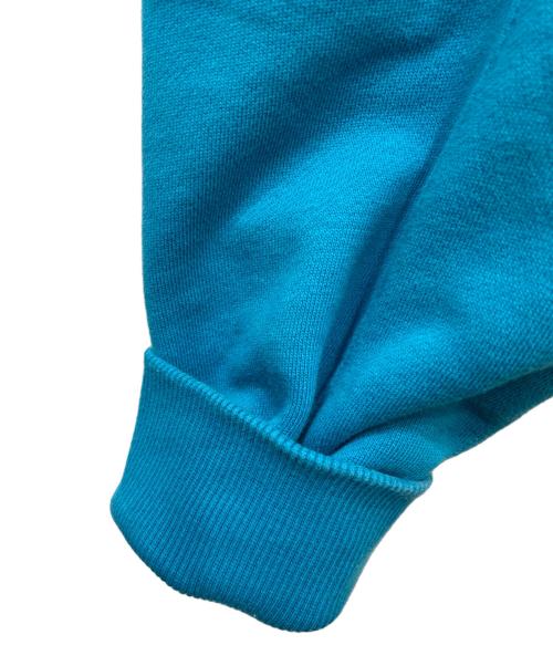 THE NORTH FACE（ザ ノース フェイス）THE NORTH FACE (ザ ノース フェイス) Trans Antarctica Hoodie ブルー サイズ:Sの古着・服飾アイテム