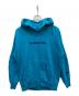 THE NORTH FACE（ザ ノース フェイス）の古着「Trans Antarctica Hoodie」｜ブルー
