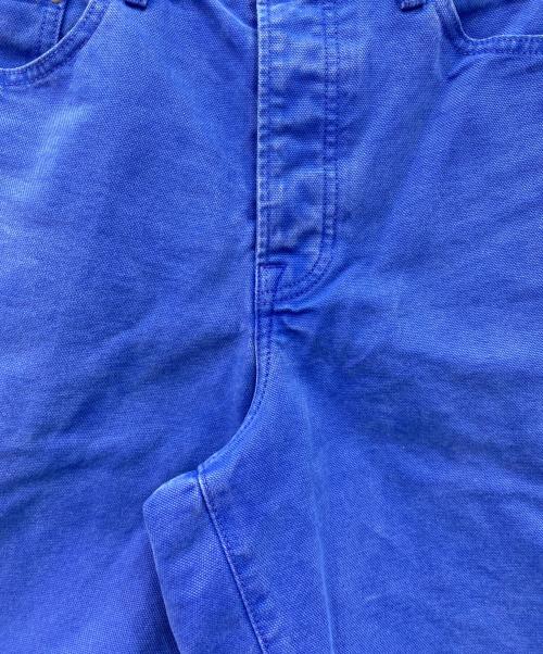 stussy（ステューシー）stussy (ステューシー) BIGOLハーフパンツ ブルー サイズ:30の古着・服飾アイテム