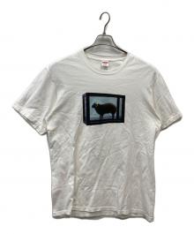 SUPREME（シュプリーム）の古着「25SS Damien Hirst Tee」｜ホワイト