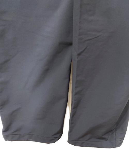 THE NORTH FACE（ザ ノース フェイス）THE NORTH FACE (ザ ノース フェイス) バーブパンツ グレー サイズ:Lの古着・服飾アイテム