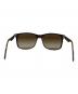 RAY-BAN (レイバン) サングラス ブラウン：7000円