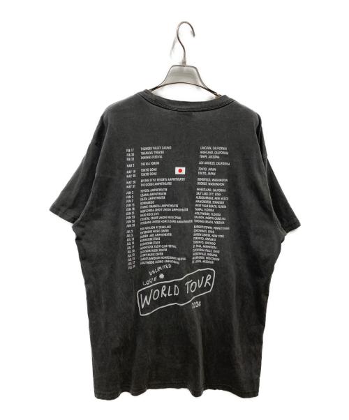 RED HOT CHILI PEPPERS（レッドホットチリペッパーズ）RED HOT CHILI PEPPERS (レッドホットチリペッパーズ) バンドTシャツ グレー サイズ:XLの古着・服飾アイテム