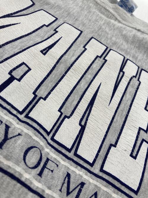 Champion REVERSE WEAVE（チャンピオン リバース ウィーブ）Champion REVERSE WEAVE (チャンピオン リバース ウィーブ) 90's リバースウィーブスウェット グレー サイズ:XXLの古着・服飾アイテム