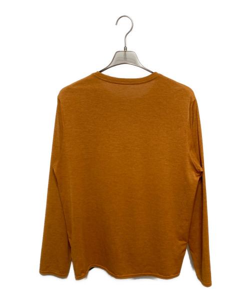 Patagonia（パタゴニア）Patagonia (パタゴニア) プリントカットソー ブラウン サイズ:Ｍの古着・服飾アイテム