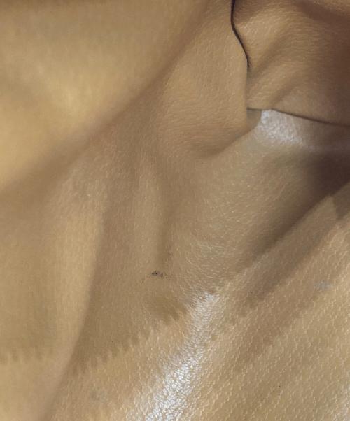 CELINE（セリーヌ）CELINE (セリーヌ) 2WAYボストンバッグ ブラウンの古着・服飾アイテム