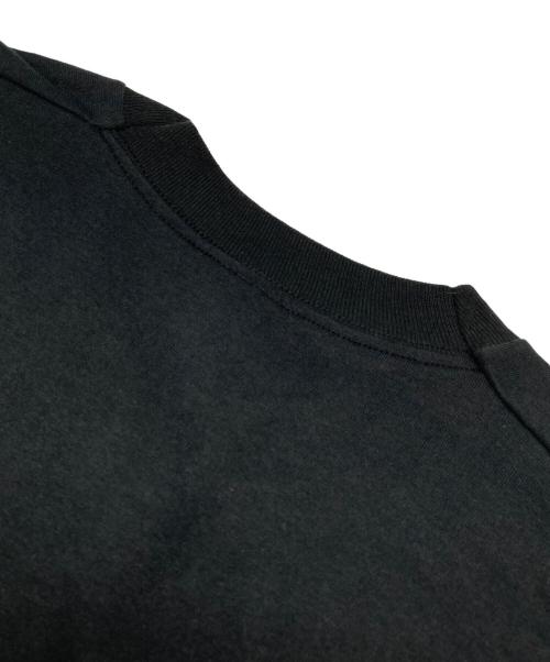 FRUIT OF THE LOOM（フルーツオブザルーム）FRUIT OF THE LOOM (フルーツオブザルーム) Tシャツ ブラック サイズ:Lの古着・服飾アイテム