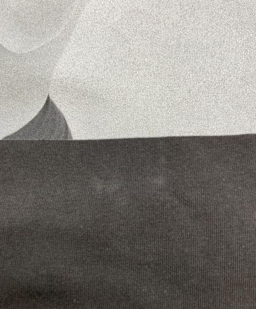 biotope（ビオトープ）biotope (ビオトープ) フォトプリントTシャツ グレー サイズ:XLの古着・服飾アイテム