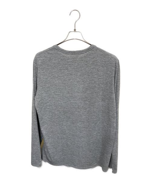 Patagonia（パタゴニア）Patagonia (パタゴニア) ロングスリーブカットソー グレー サイズ:Lの古着・服飾アイテム