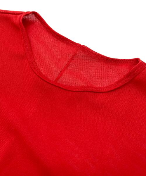 HeRIN.CYE（ヘリンドットサイ）HeRIN.CYE (ヘリンドットサイ) クルーネックメッシュインナートップス レッド サイズ:FREEの古着・服飾アイテム