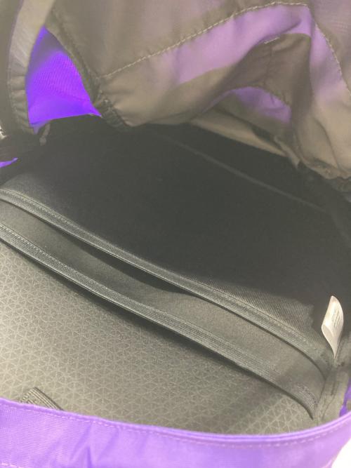 THE NORTH FACE（ザ ノース フェイス）THE NORTH FACE (ザ ノース フェイス) ホットショット バックパック パープル×ブラックの古着・服飾アイテム