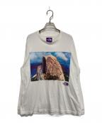 THE NORTHFACE PURPLELABEL×PALACEザ・ノースフェイス パープルレーベル×パレス）の古着「グラフィックプリントカットソー」｜ホワイト
